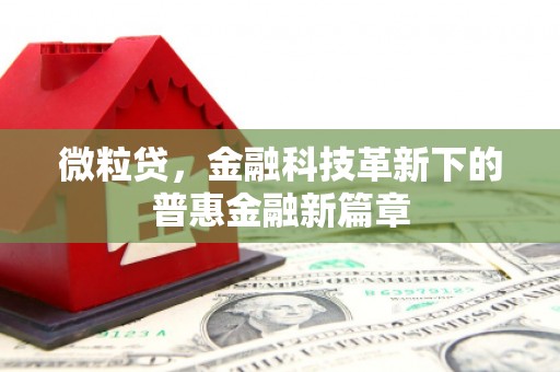 即墨微粒贷，金融科技革新下的普惠金融新篇章