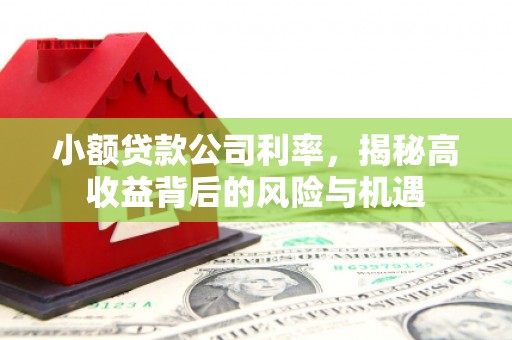 即墨小额贷款公司利率，揭秘高收益背后的风险与机遇