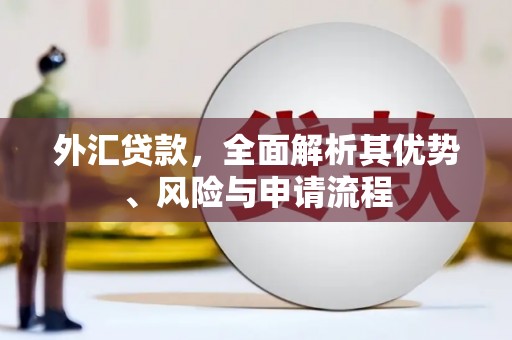 即墨外汇贷款，全面解析其优势、风险与申请流程
