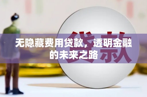 即墨无隐藏费用贷款，透明金融的未来之路