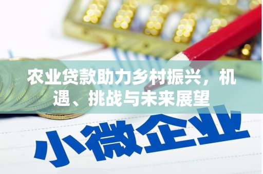 即墨农业贷款助力乡村振兴，机遇、挑战与未来展望