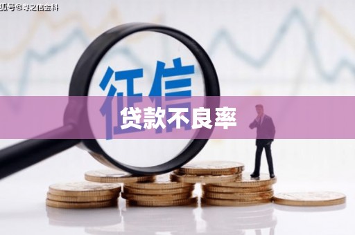 即墨贷款不良率