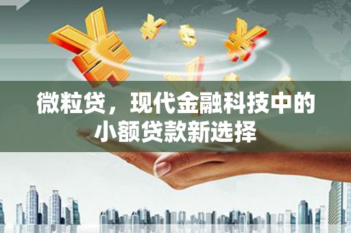 即墨微粒贷，现代金融科技中的小额贷款新选择