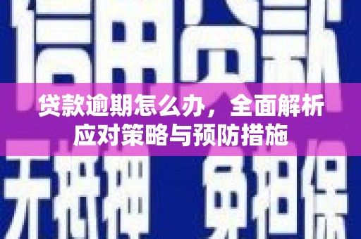 即墨贷款逾期怎么办，全面解析应对策略与预防措施