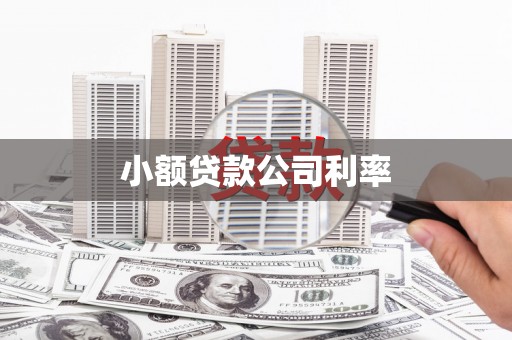 即墨小额贷款公司利率