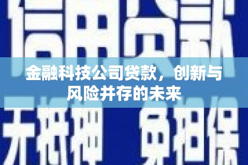 即墨金融科技公司贷款，创新与风险并存的未来
