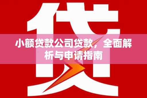 即墨小额贷款公司贷款，全面解析与申请指南