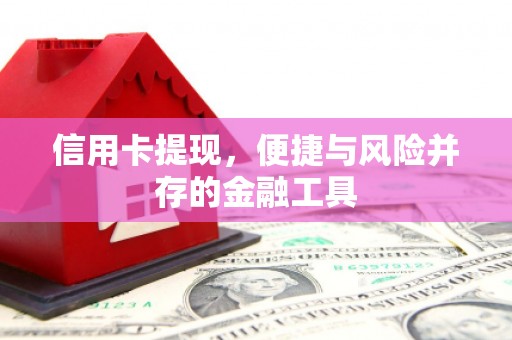 即墨信用卡提现，便捷与风险并存的金融工具