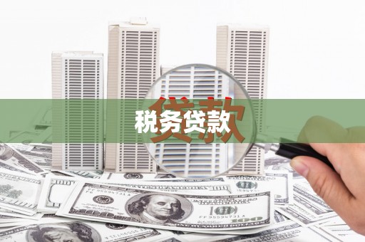 即墨税务贷款