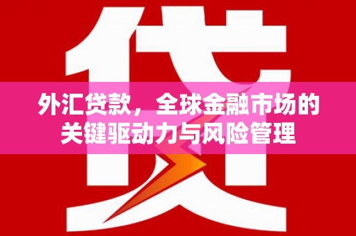 即墨外汇贷款，全球金融市场的关键驱动力与风险管理