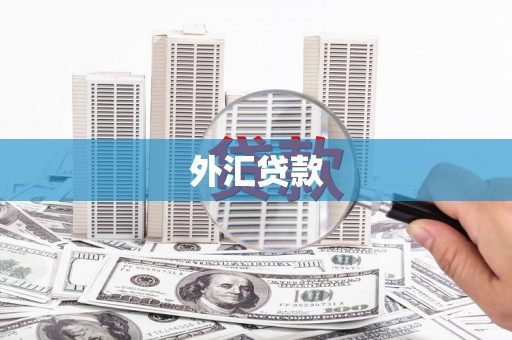 即墨外汇贷款