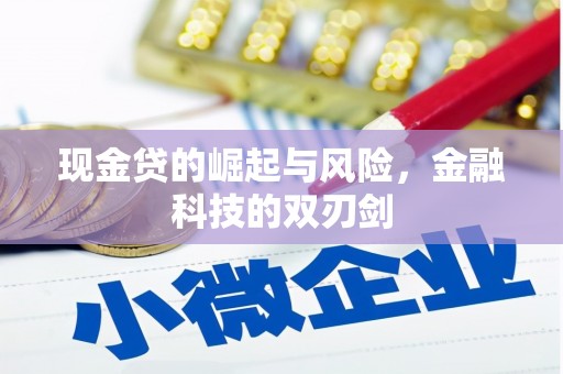 即墨现金贷的崛起与风险，金融科技的双刃剑
