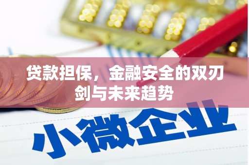 即墨贷款担保，金融安全的双刃剑与未来趋势