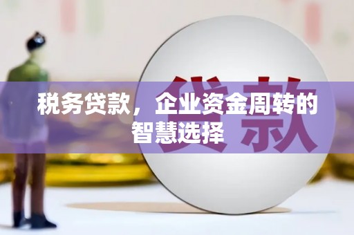 即墨税务贷款，企业资金周转的智慧选择
