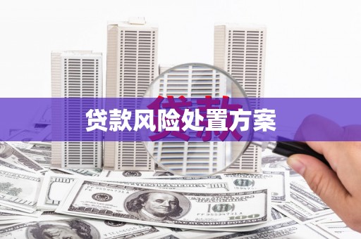 即墨贷款风险处置方案