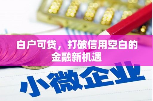 即墨白户可贷，打破信用空白的金融新机遇