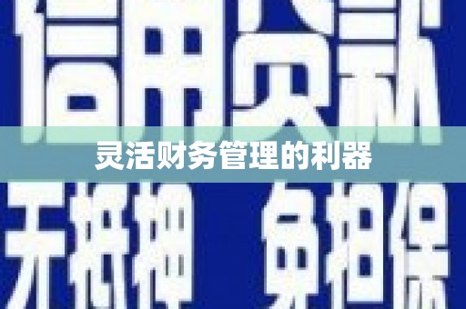 即墨灵活财务管理的利器