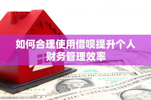 即墨如何合理使用借呗提升个人财务管理效率