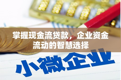 即墨掌握现金流贷款，企业资金流动的智慧选择