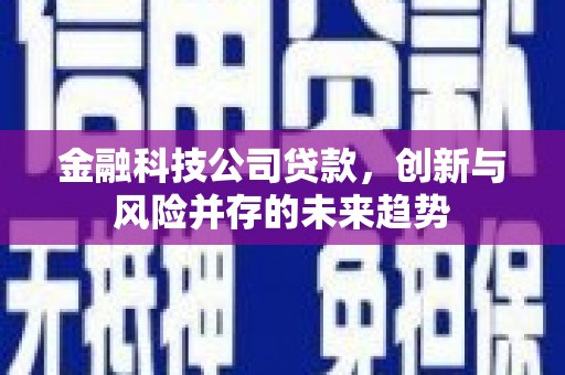 即墨金融科技公司贷款，创新与风险并存的未来趋势