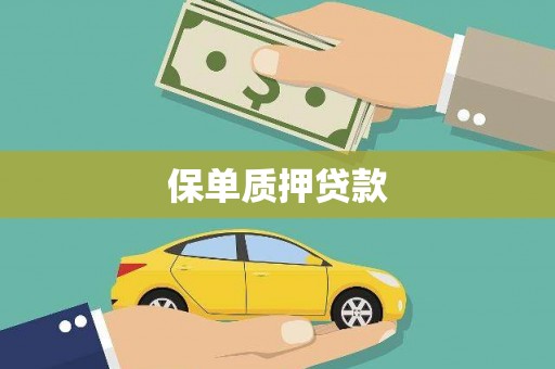 即墨保单质押贷款