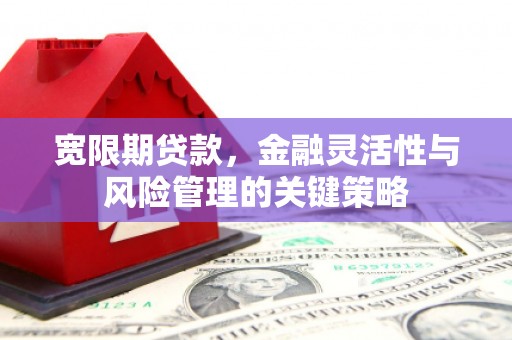 即墨宽限期贷款，金融灵活性与风险管理的关键策略