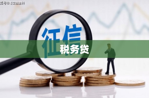 即墨税务贷