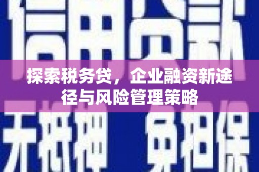 即墨探索税务贷，企业融资新途径与风险管理策略