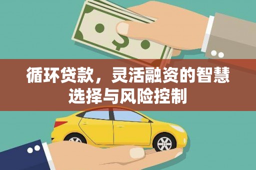 即墨循环贷款，灵活融资的智慧选择与风险控制