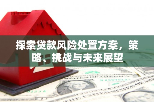 即墨探索贷款风险处置方案，策略、挑战与未来展望