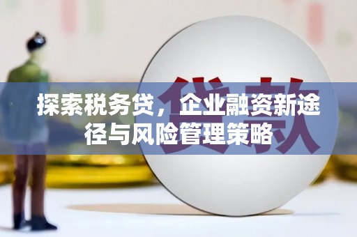 即墨探索税务贷，企业融资新途径与风险管理策略