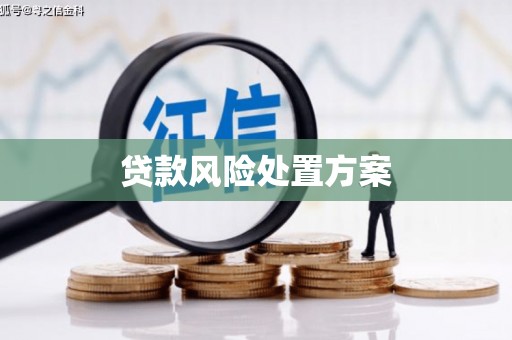 即墨贷款风险处置方案