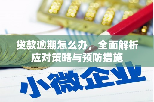 即墨贷款逾期怎么办，全面解析应对策略与预防措施