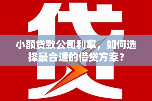 即墨小额贷款公司利率，如何选择最合适的借贷方案？