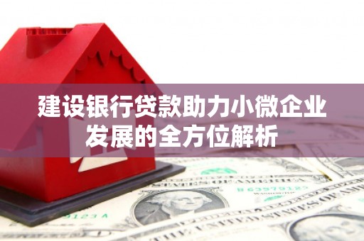 即墨建设银行贷款助力小微企业发展的全方位解析