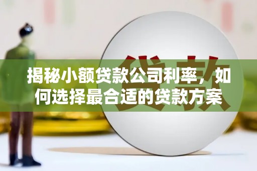 即墨揭秘小额贷款公司利率，如何选择最合适的贷款方案