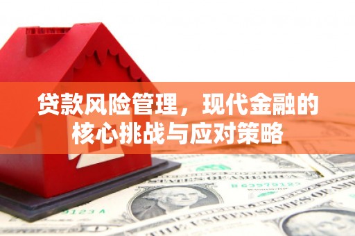 即墨贷款风险管理，现代金融的核心挑战与应对策略