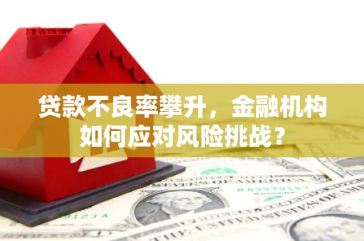 即墨贷款不良率攀升，金融机构如何应对风险挑战？