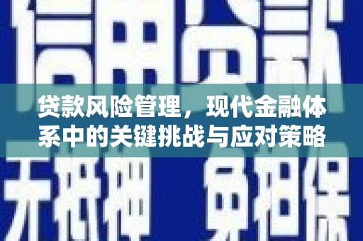 即墨贷款风险管理，现代金融体系中的关键挑战与应对策略