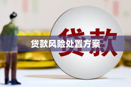 即墨贷款风险处置方案