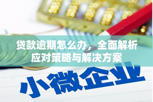 即墨贷款逾期怎么办，全面解析应对策略与解决方案