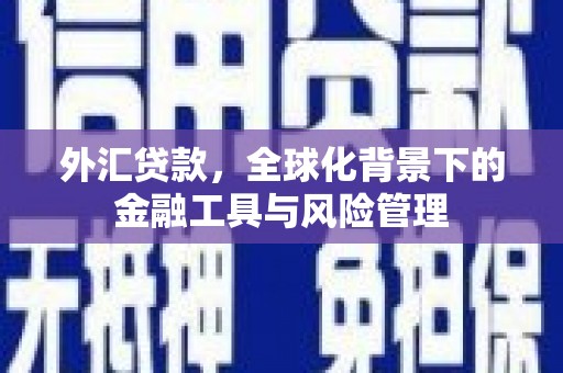 即墨外汇贷款，全球化背景下的金融工具与风险管理