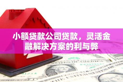即墨小额贷款公司贷款，灵活金融解决方案的利与弊