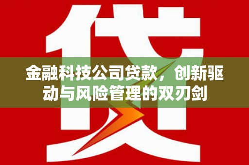 即墨金融科技公司贷款，创新驱动与风险管理的双刃剑